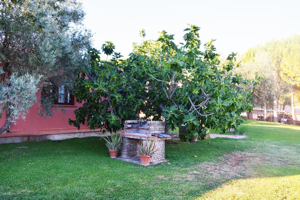 Agriturismo L'Aquilone Magliano in Toscana Buitenkant foto