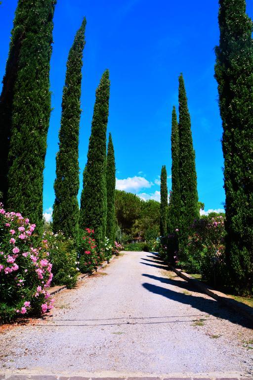 Agriturismo L'Aquilone Magliano in Toscana Buitenkant foto
