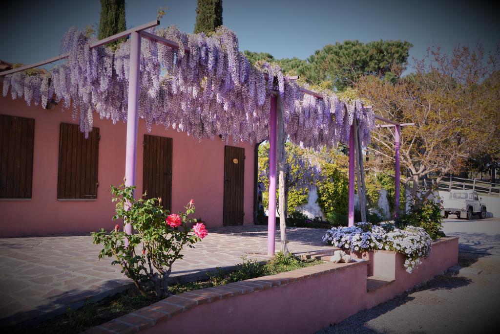 Agriturismo L'Aquilone Magliano in Toscana Buitenkant foto