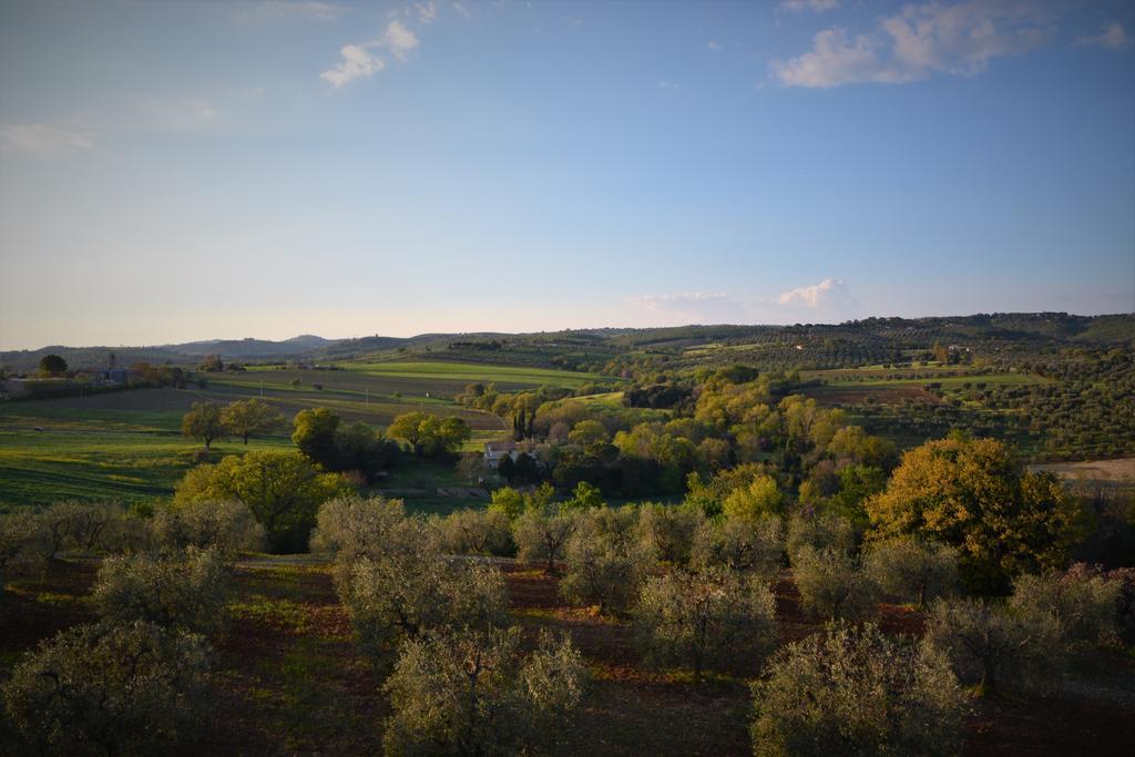 Agriturismo L'Aquilone Magliano in Toscana Buitenkant foto